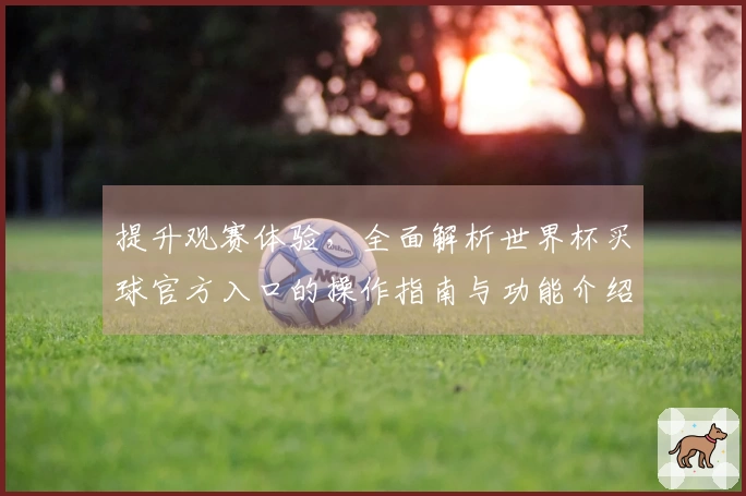提升观赛体验，全面解析世界杯买球官方入口的操作指南与功能介绍