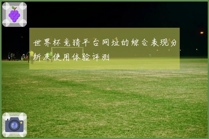世界杯竞猜平台网址的综合表现分析及使用体验评测