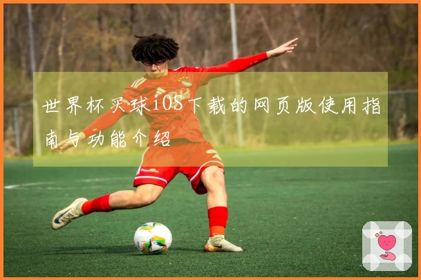 世界杯买球iOS下载的网页版使用指南与功能介绍