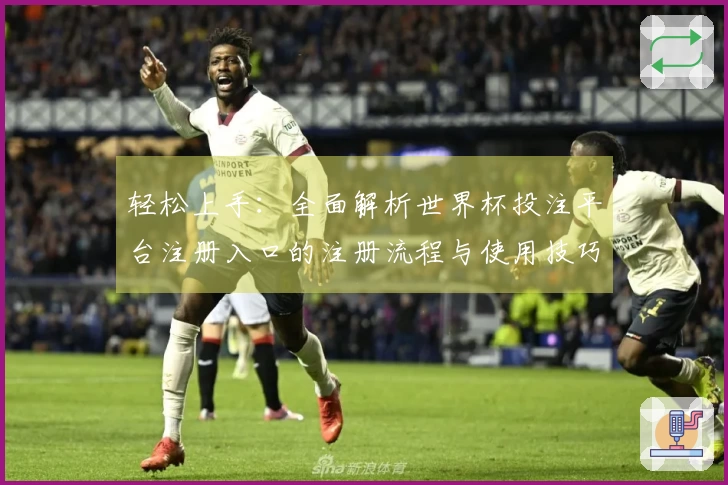 轻松上手：全面解析世界杯投注平台注册入口的注册流程与使用技巧