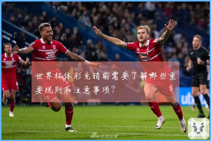 世界杯体彩竞猜前需要了解哪些重要规则和注意事项？