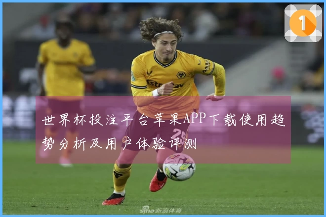 世界杯投注平台苹果APP下载使用趋势分析及用户体验评测