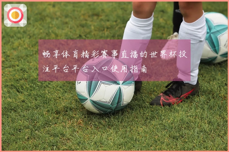 畅享体育精彩赛事直播的世界杯投注平台平台入口使用指南