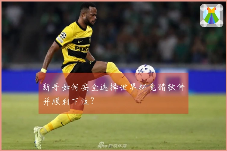新手如何安全选择世界杯竞猜软件并顺利下注?