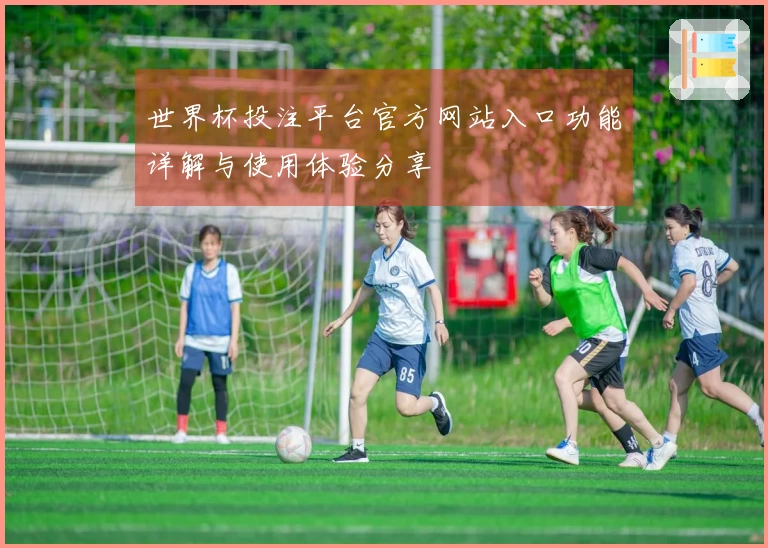 世界杯投注平台官方网站入口功能详解与使用体验分享