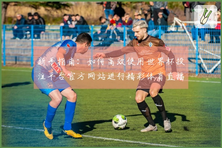 新手指南：如何高效使用世界杯投注平台官方网站进行精彩体育直播体验