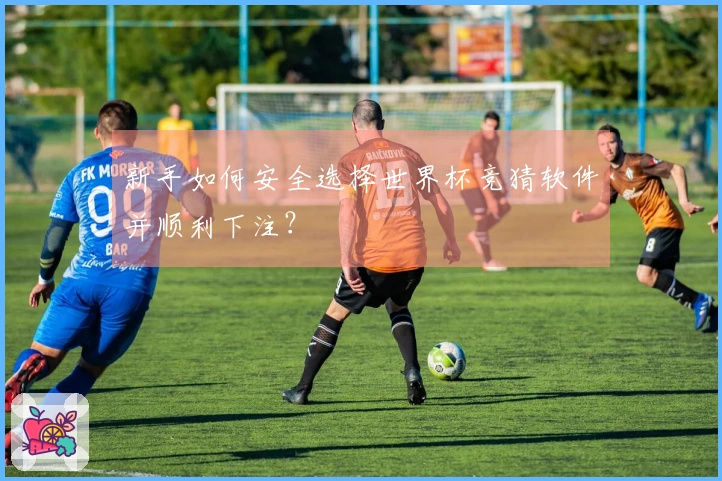 新手如何安全选择世界杯竞猜软件并顺利下注？