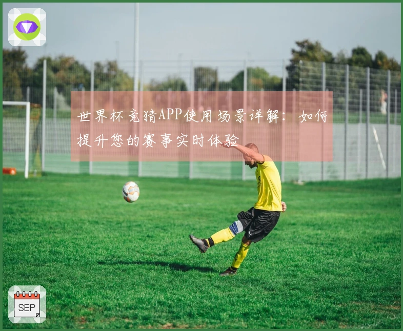 世界杯竞猜APP使用场景详解：如何提升您的赛事实时体验