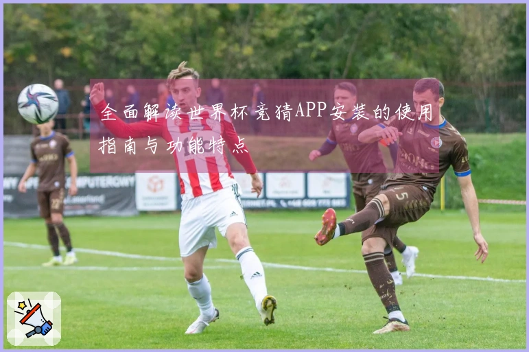 全面解读世界杯竞猜APP安装的使用指南与功能特点
