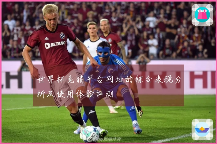 世界杯竞猜平台网址的综合表现分析及使用体验评测