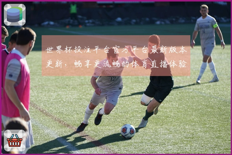 世界杯投注平台官方平台最新版本更新，畅享更流畅的体育直播体验！