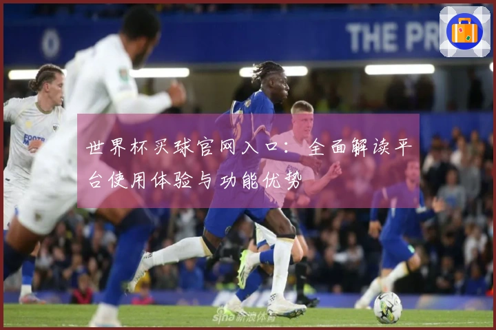 世界杯买球官网入口：全面解读平台使用体验与功能优势